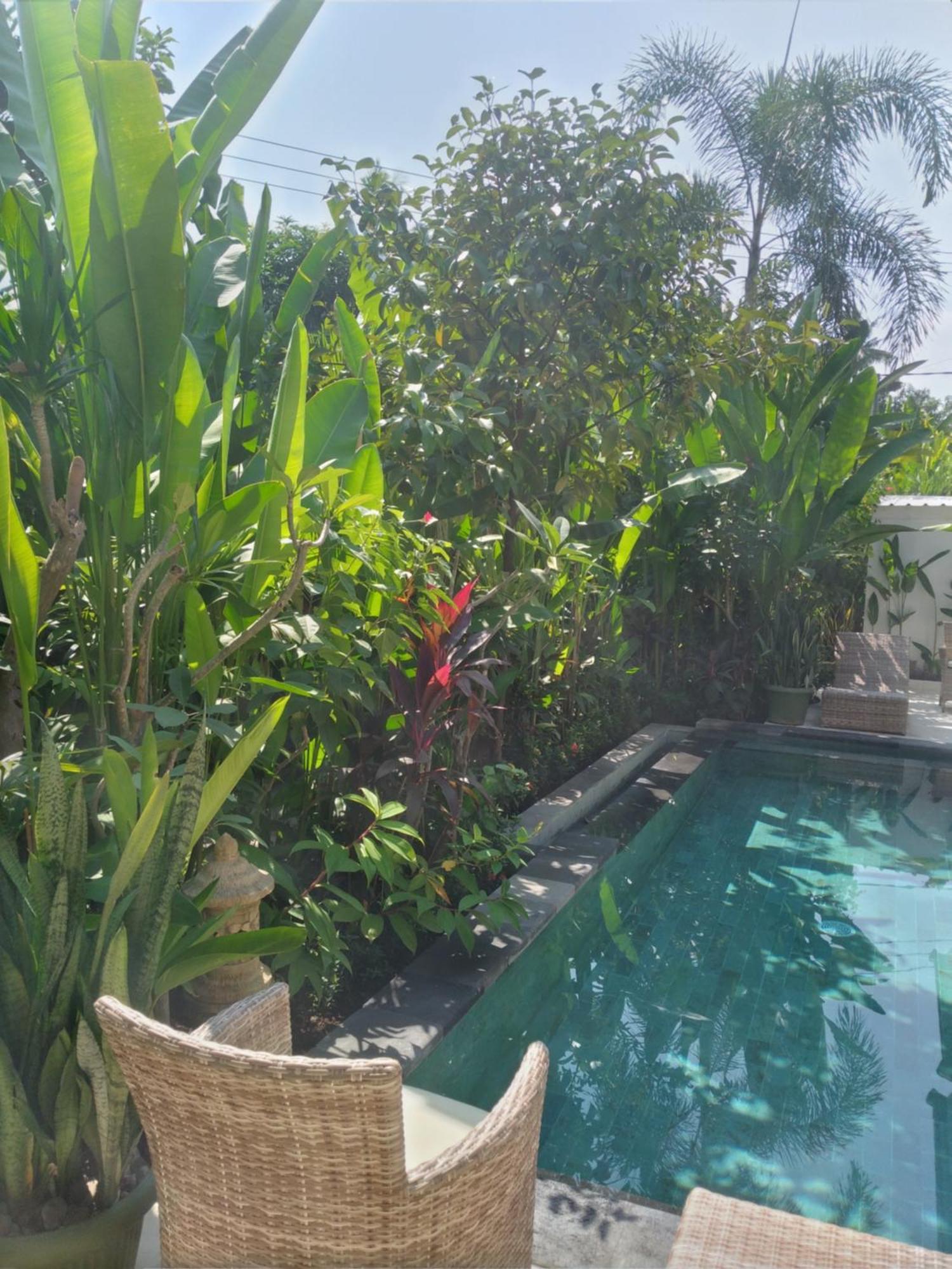 Garden Retreat *